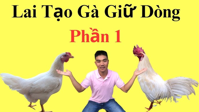 cach-lai-tao-ga-da